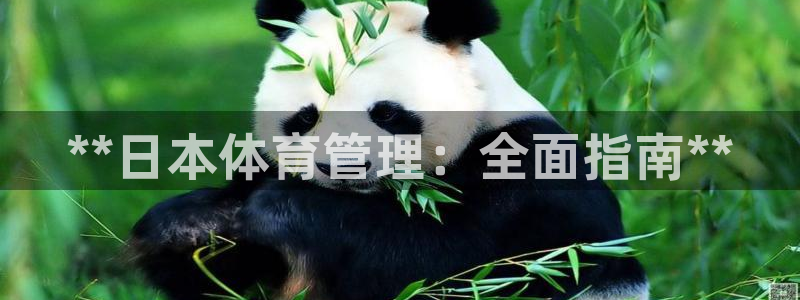 必一体育官网入口：*