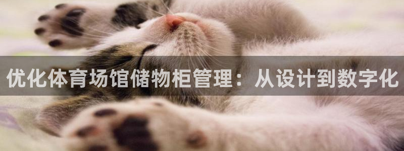 必一运动·体育：优化