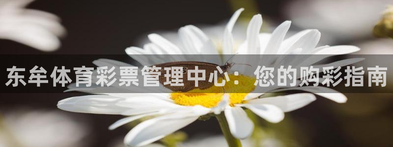 必一体育官方app下