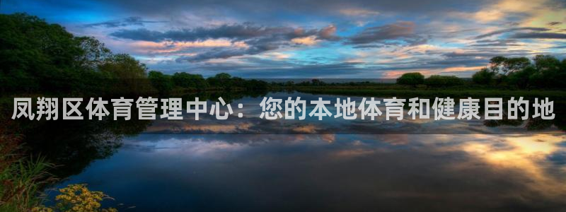 必一体育在线下载：凤