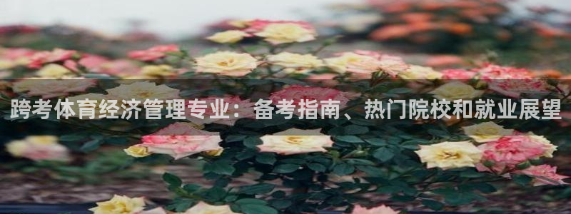 必一体育电子app：