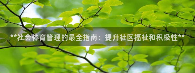 必一运动体育官网下载