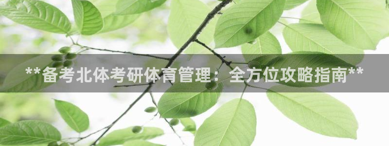 必一体育运动app下
