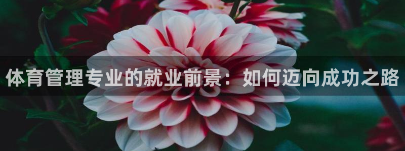 必一体育登入：体育管
