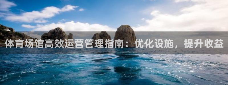 必一体育官方网站入口：体育场馆高效运营管理指南：优化设施，提