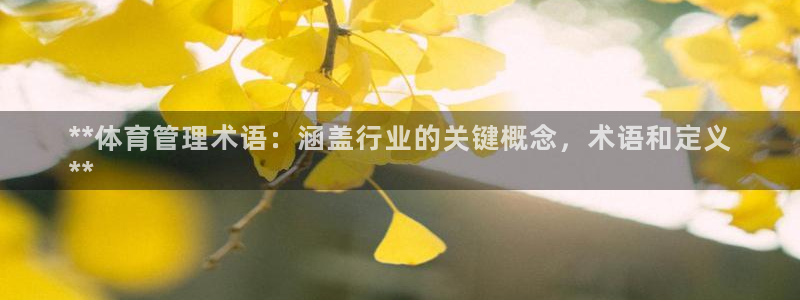 必一体育最新官网入口
