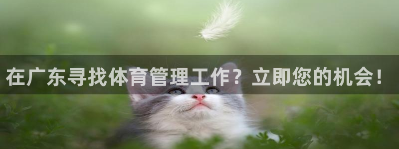 必一体育旧版：在广东