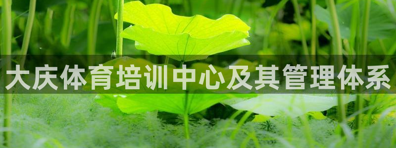 必一体育游戏特色：大