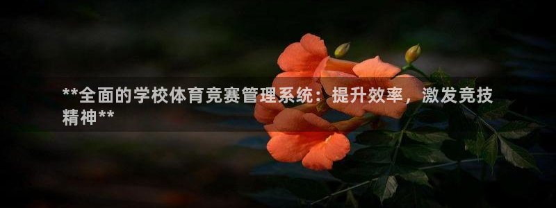 必一体育sport网