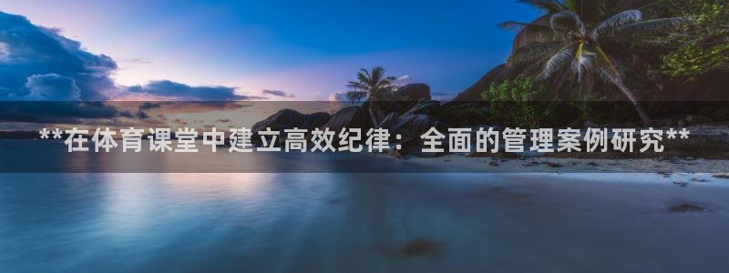 必一体育官网入口：*