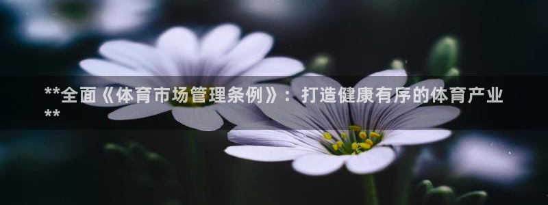 必一运动体育：**全
