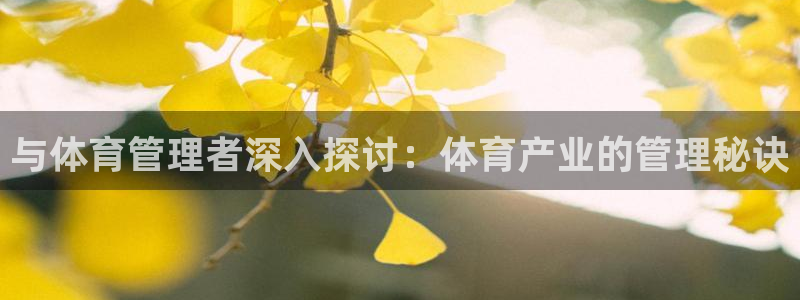 必一体育没了：与体育