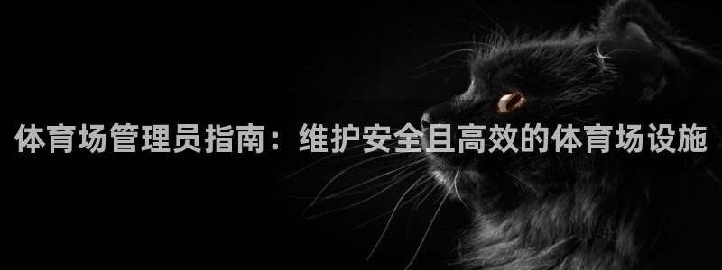 必一运动体：体育场管