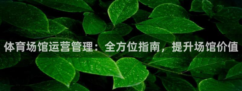 必一体育app下载：