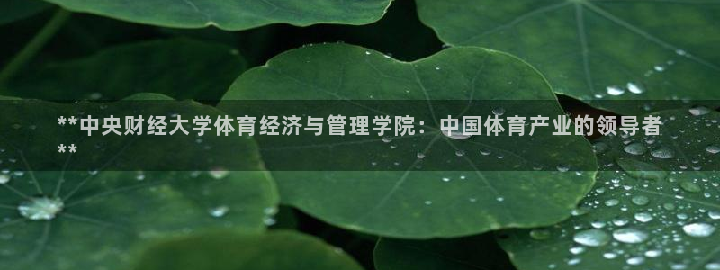 必一体育下载app下