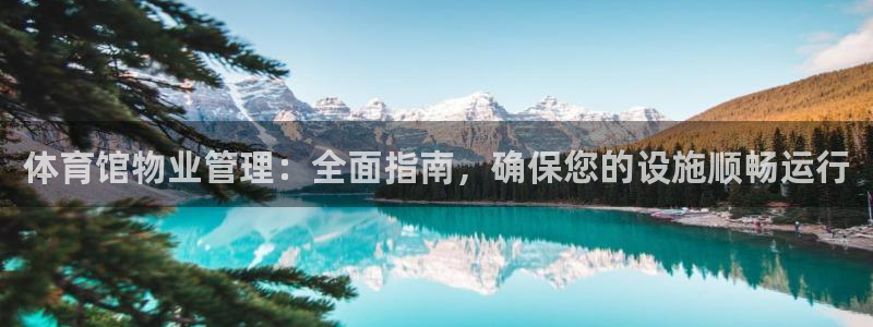 必一体育黑钱：体育馆