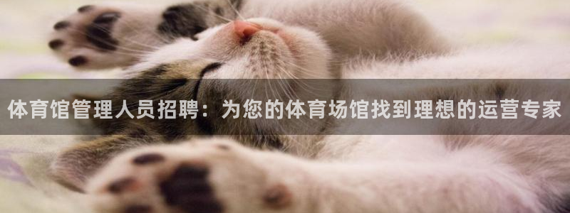 必一体育app平台下