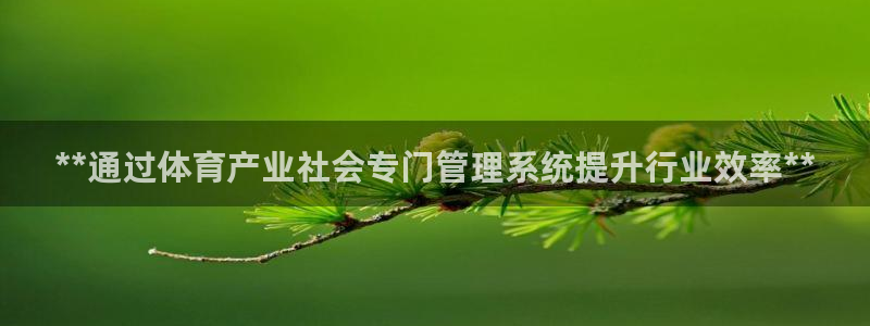 必一体育运动下载：**通过体育产业社会专门管理系统提升行业效