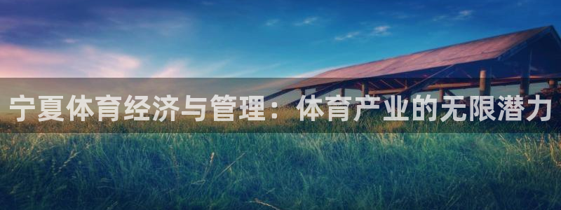 必一体育网页登陆：宁夏体育经济与管理：体育产业的无限潜力