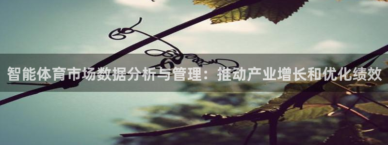 必一体育登录入口AP