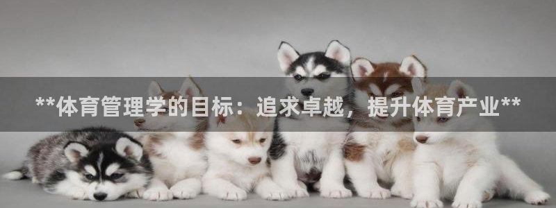 必一体育app官方正