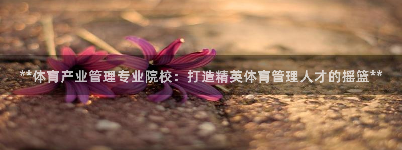 必一体育网页登陆：*