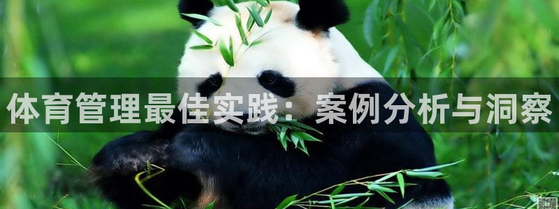 必一体育在哪下：体育