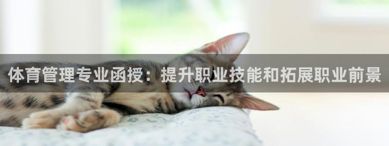 必一运动aop：体育