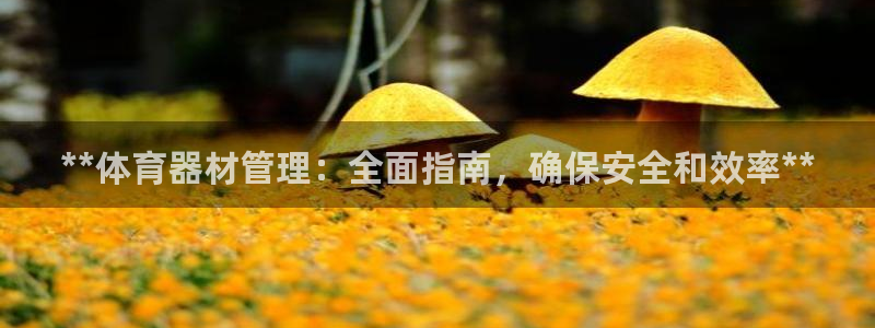 必一体育官网ios下