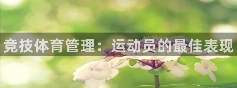必一体育电子app：竞技体育管理：运动员的最佳表现