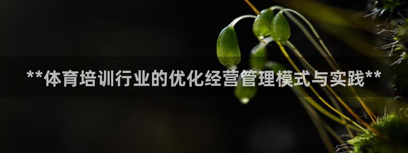 必一体育运动app下