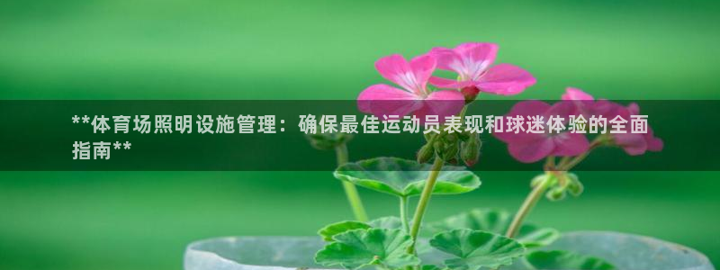 必一体育登录入口APP：**体育场照明设施管理：确保最佳运动
