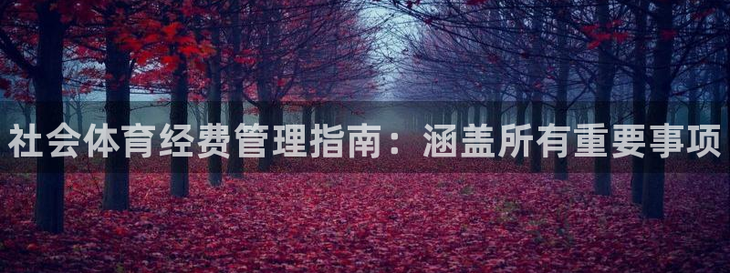 必一体育bsport
