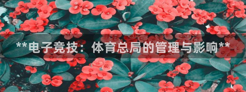 必一体育sport装