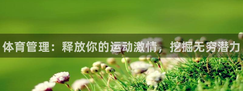 必一体育app官方正