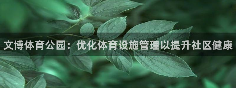 必一体育下载：文博体育公园：优化体育设施管理以提升社区健康