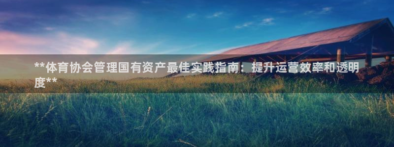 必一体育运动app：