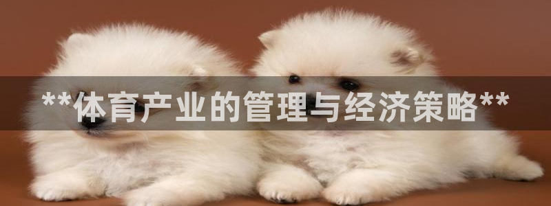 必一体育手机下载：*