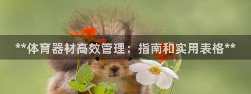 b体育必一下载：**