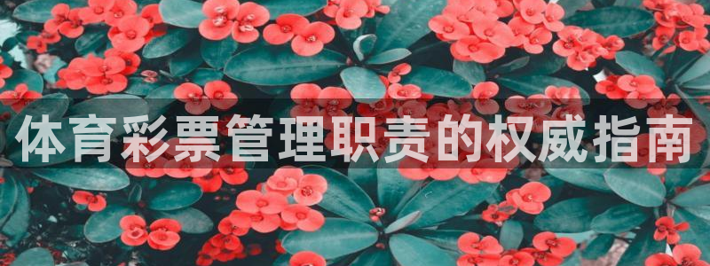 必一体育全站在线登录