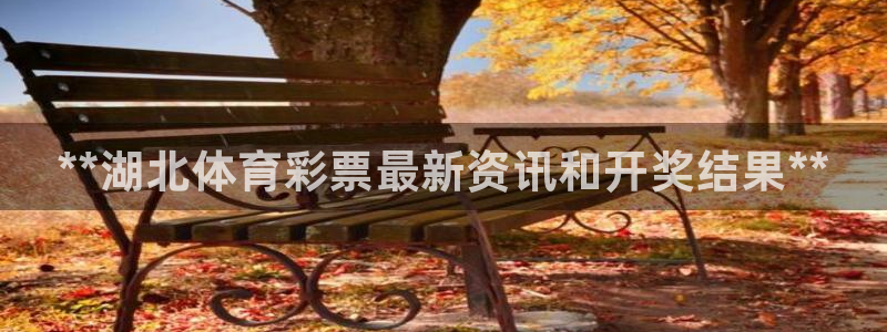 必一体育运动app下