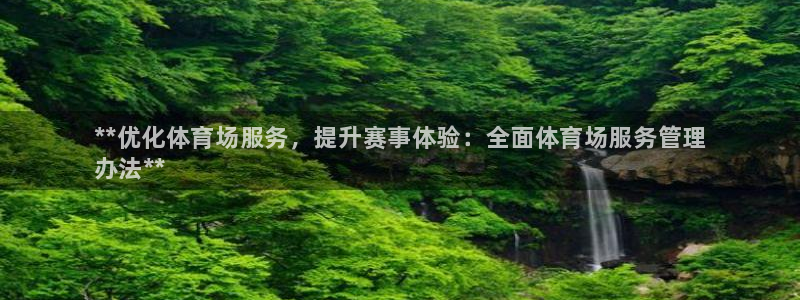 必一体育电子app：**优化体育场服务，提升赛事体验：全面体