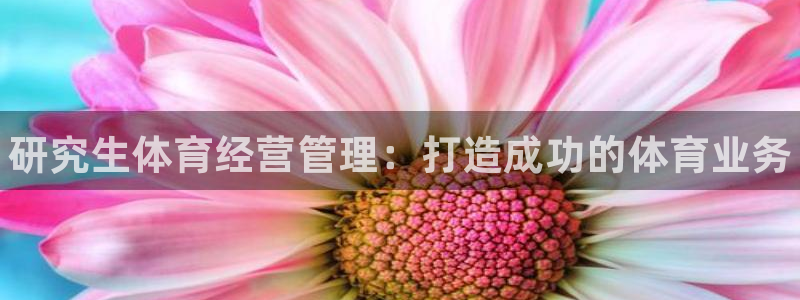 必一体育官方app下