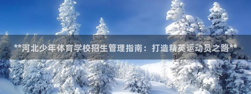 必一体育运动平台官网：**河北少年体育学校招生管理指南：打造