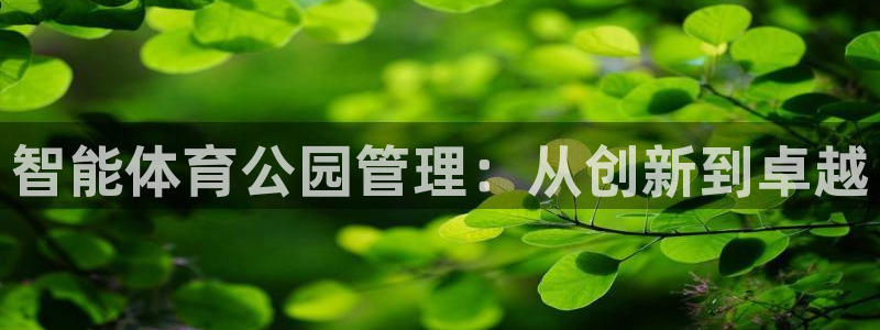 必十二和必一的副作用